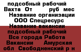 подсобный рабочий . Вахта. От 30 000 руб./мес. › Название организации ­ ООО Спецресурс › Название вакансии ­ подсобный рабочий - Все города Работа » Вакансии   . Амурская обл.,Свободненский р-н